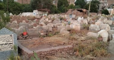 فتح قبر شابة والعبث بكفنها مرتين خلال يومين في واقعة غامضة بالسنبلاوين فتح قبر شابة والعبث بكفنها مرتين خلال يومين في واقعة غامضة بالسنبلاوين