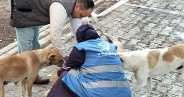 تفاصيل وفاة مُسن بتوقف عضلة القلب بعد تعرضه لهجوم كلاب ضالة بأحد شوارع بورسعيد