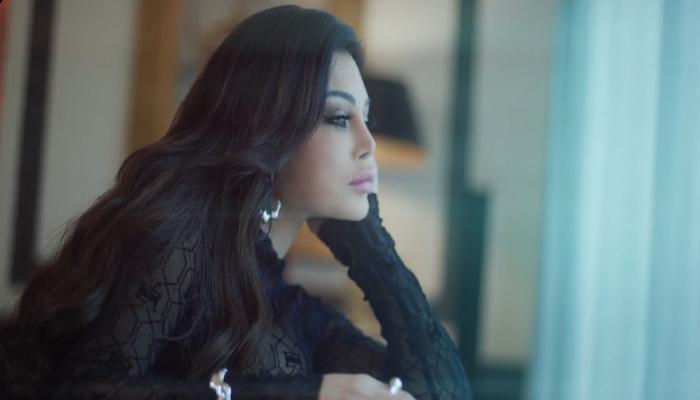 تسريب فيديو هيفاء وهبي الجديد مع زوجها.. التفاصيل الكاملة