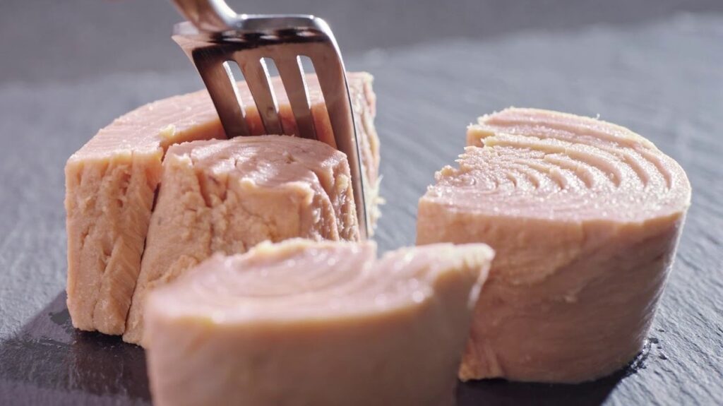 أسماك التونة