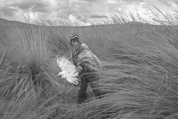 «اكسبوجر 2026» ينقل قصصاً وثقافات من 6 قارات