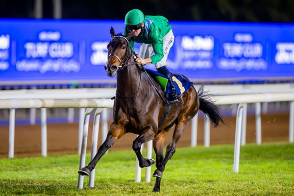 15 خيلاً في تحدي كأس رئيس الدولة للخيول العربية