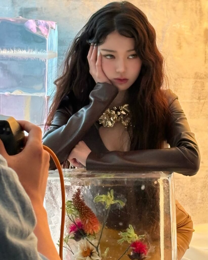 وونيونغ وونيونغ