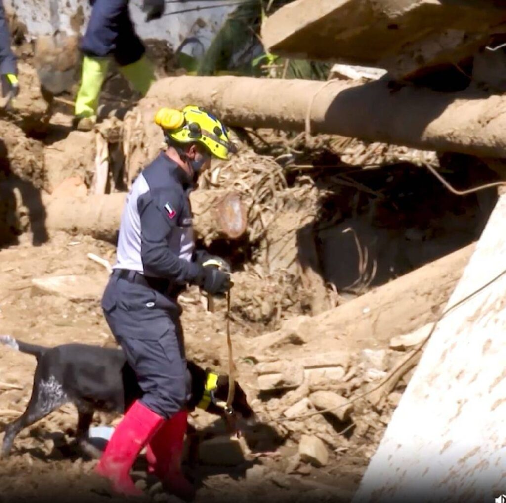 الجيش السريلانكي يشيد بكفاءة فريق البحث والإنقاذ الإماراتي وقدراته العالية Al Bayan