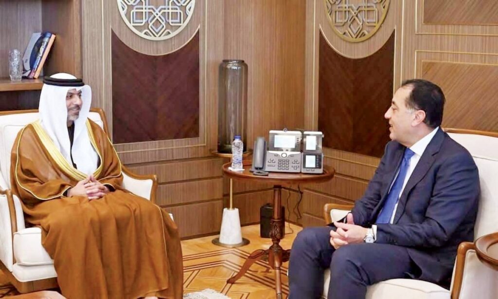 العلاقات الإماراتية المصرية راسخة وتعاون البلدين وثيق