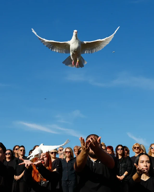 أناس يطلقون حماما في الجو