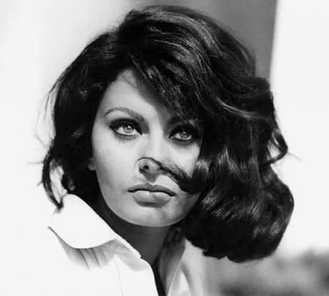 Sophia Loren