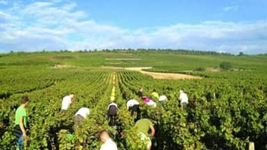 قصص نجاحات نوعيّة في هذه القطاعات!