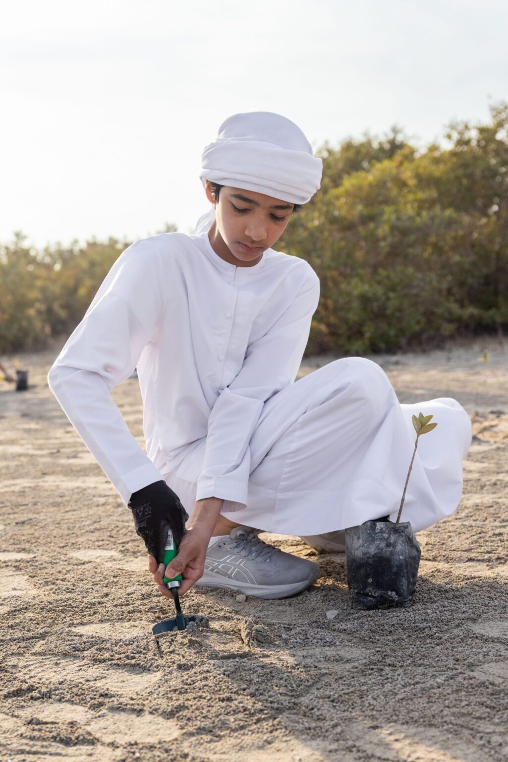 هيئة كهرباء ومياه دبي تدعم التنوع البيولوجي واستعادة غابات القرم بالتعاون مع هيئة دبي للبيئة والتغير المناخي هيئة كهرباء ومياه دبي تدعم التنوع البيولوجي واستعادة غابات القرم بالتعاون مع هيئة دبي للبيئة والتغير المناخي