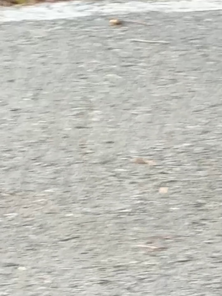 251216 today.s_sido تحديث الانستقرام مع كارينا 2