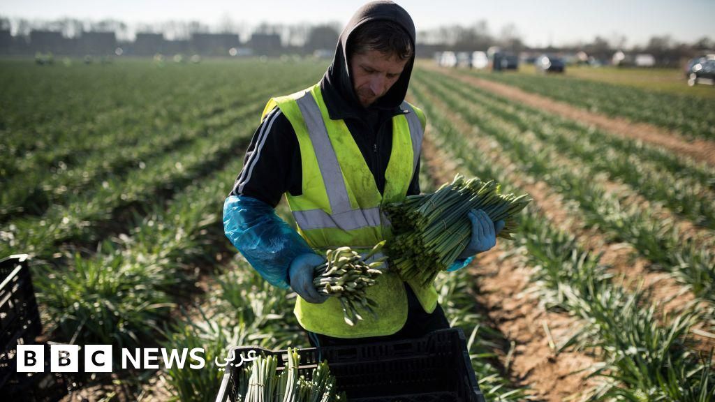 “ترامب يريد تفكيك أوروبا إلى 27 كياناً منفصلاً وضعيفاً” – مقال في لوموند "ترامب يريد تفكيك أوروبا إلى 27 كياناً منفصلاً وضعيفاً" - مقال في لوموند