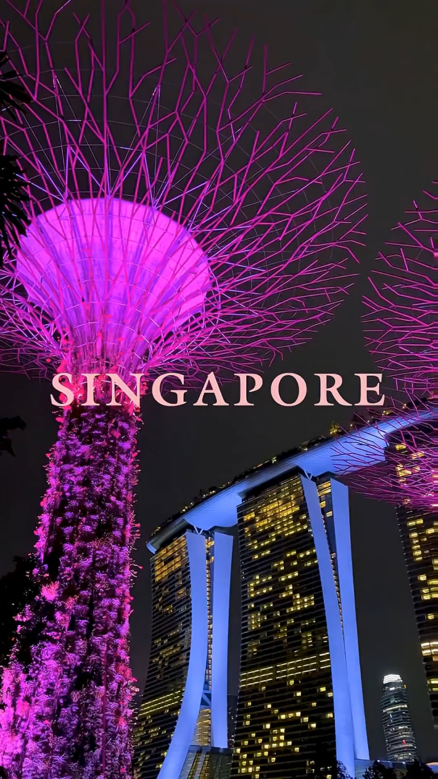 251205 جولة بلاك بينك العالمية [DEADLINE] في سنغافورة تسليط الضوء على مقطع