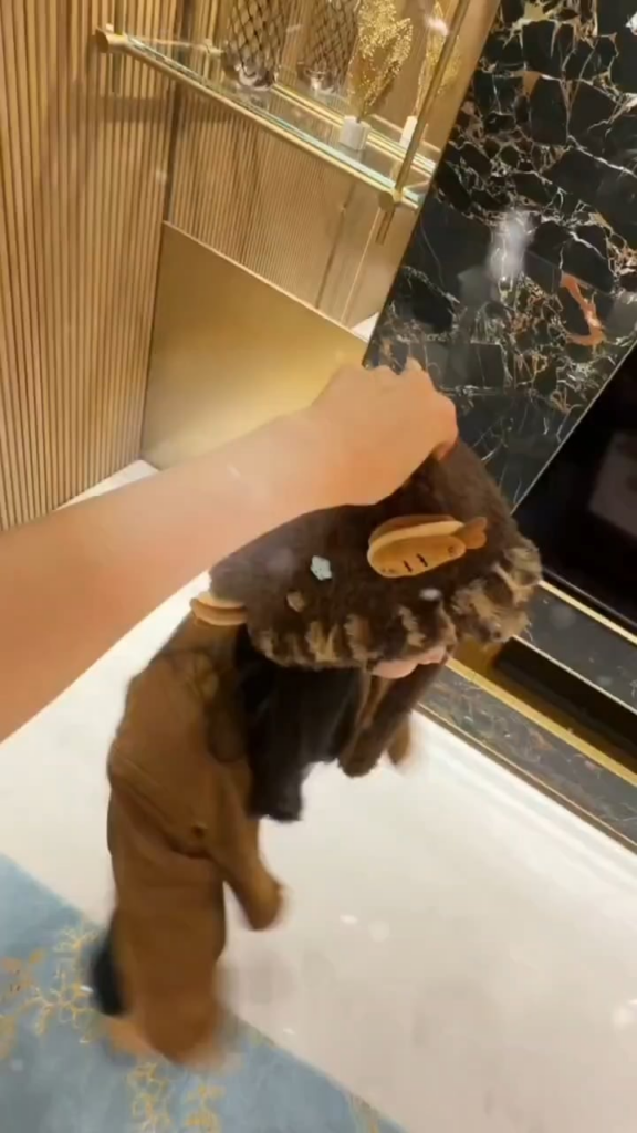 251209 تحديث تويتر - لقد فهمت!💓 (مع نايون، مومو، سانا، جيهيو، مينا وداهيون)