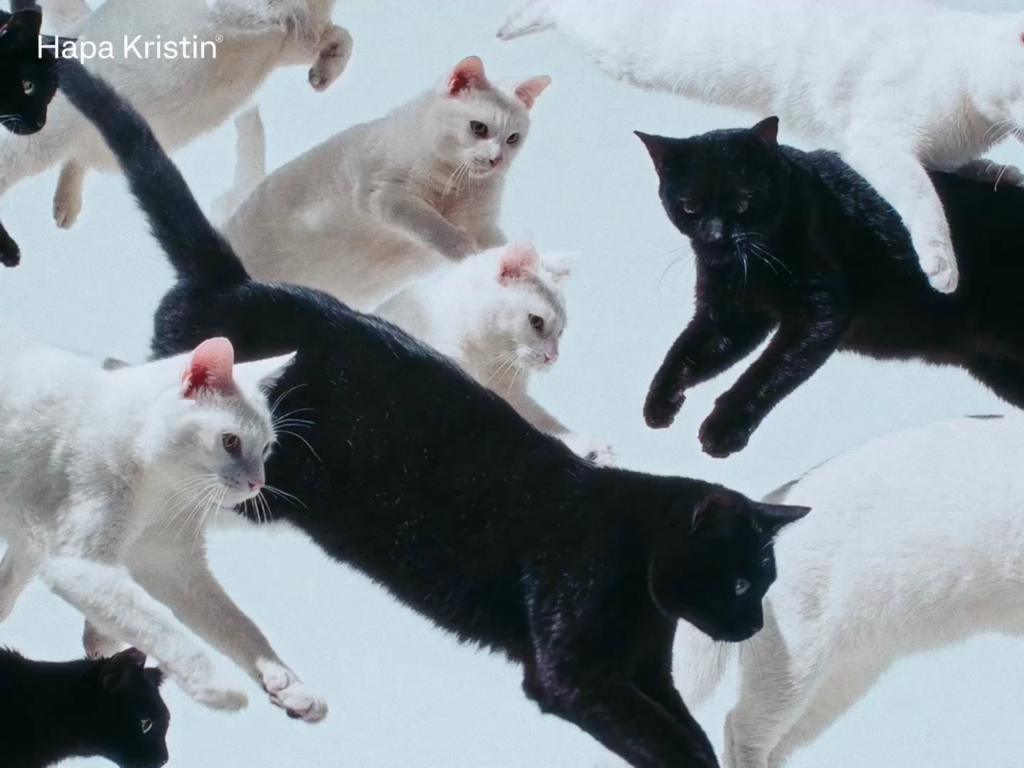 251205 وونيونغ - كات-تيود كريستين (Hapa Kristin CF Teaser)