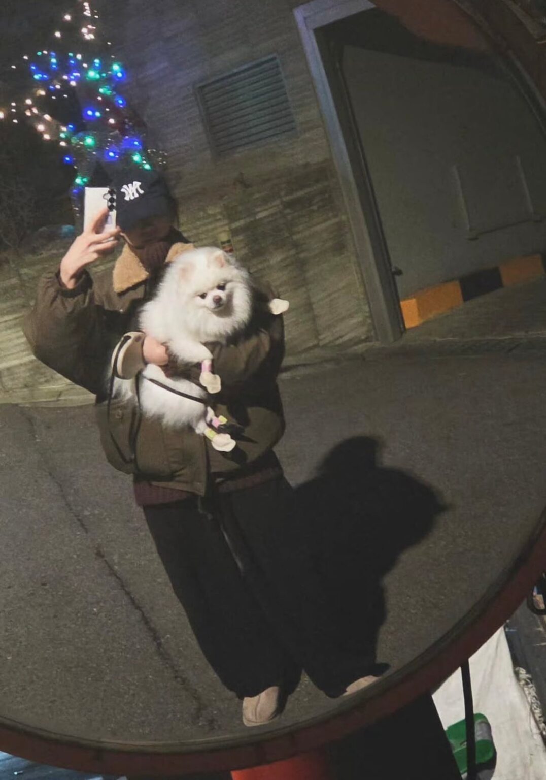 251221 تحديث قصص كيم تشايوون على الانستقرام (مع شيرو)