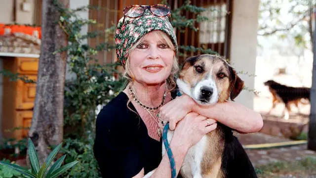 بريجيت باردو برفقة كلب