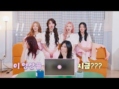 251201 IVE - هذا هو... 👉👑💘 رد الفعل