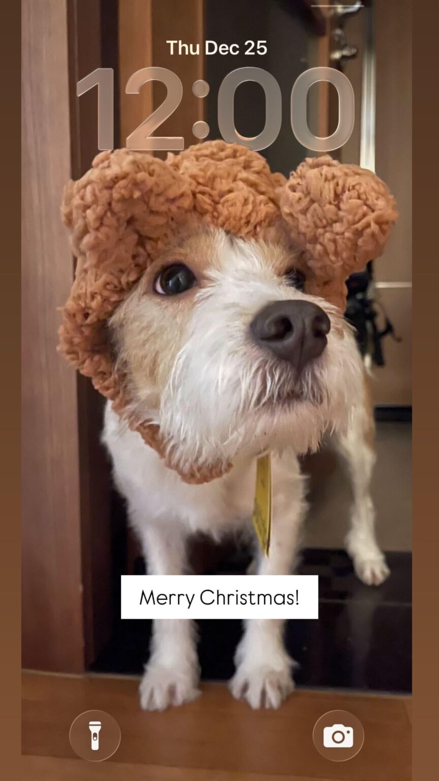 251225 تحديث قصة Alice IG مع هانك