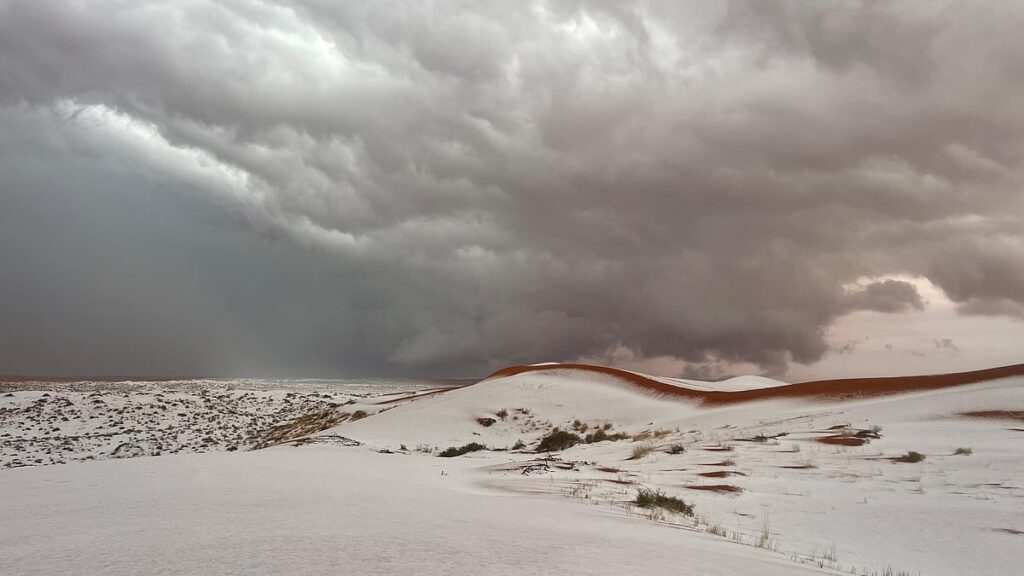 بَرَد كثيف يكسو رمال جنوب حائل.. ومشهد نادر يجذب المتنزهين بَرَد كثيف يكسو رمال جنوب حائل.. ومشهد نادر يجذب المتنزهين