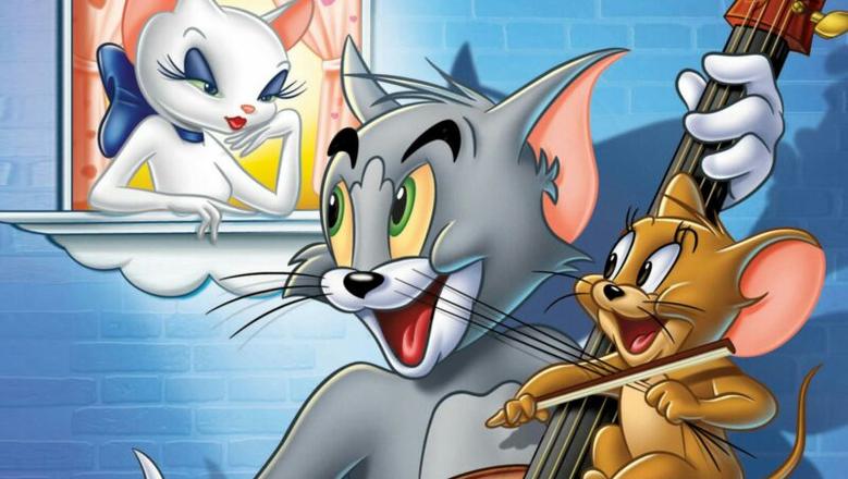 كيف تستقبل أحدث قنوات تذيع كرتون توم وجيري 24 ساعة