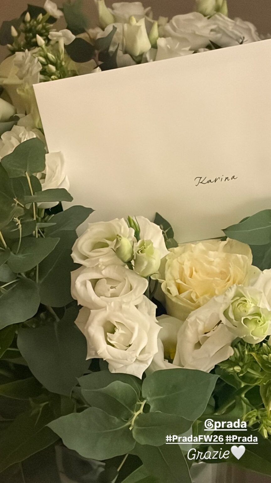 260117 تحديث قصة كارينا على الانستقرام