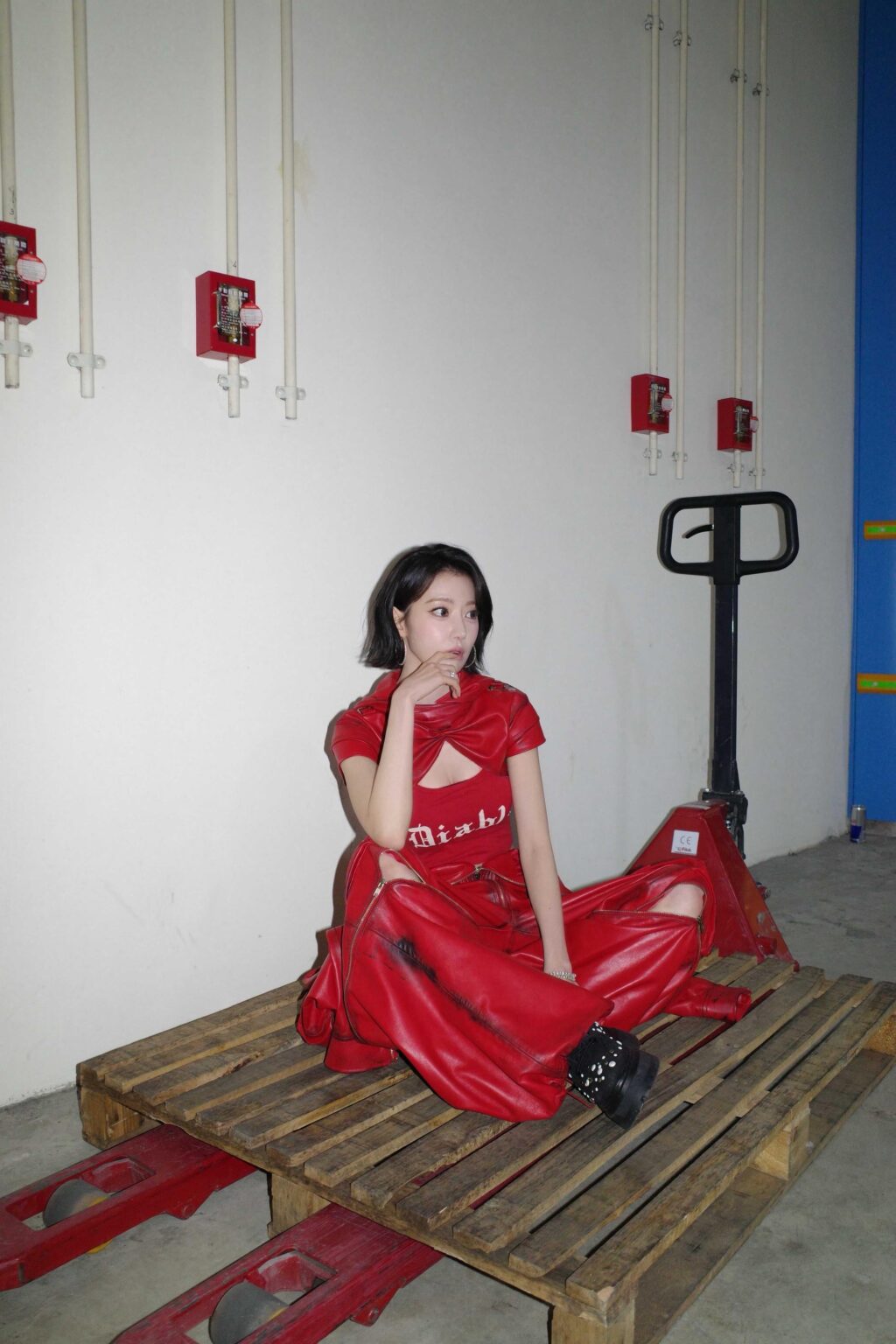 260117 تحديث ساكورا على ويفرس