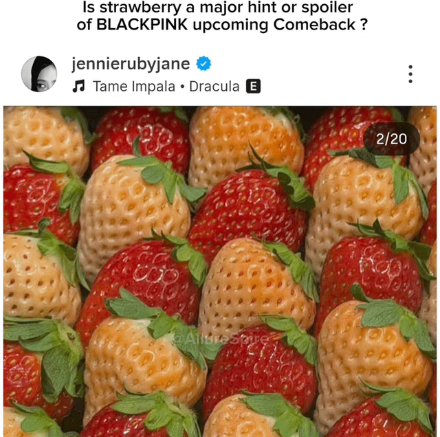 260127 هل هذا نوع من المفسدة؟