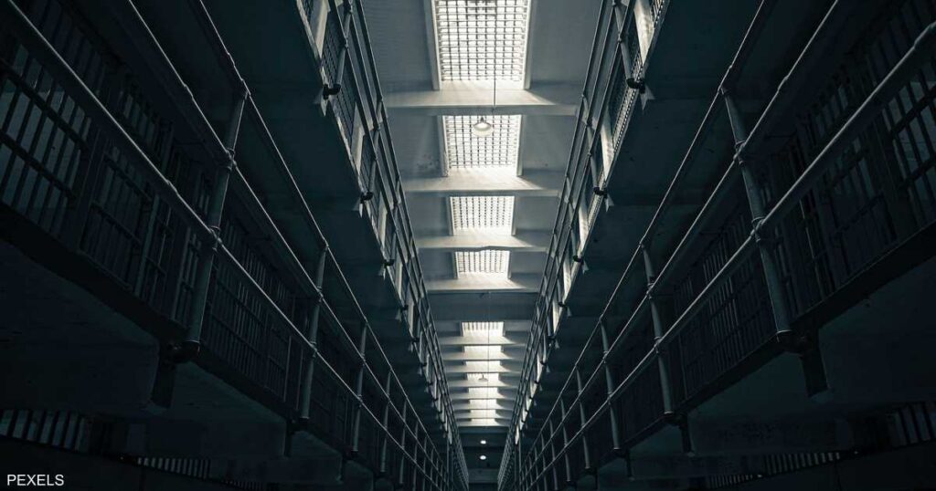 طارد للطيور وقاتل للبشر.. مصري يخترع جهازا يقوده للسجن - سكاي نيوز عربية