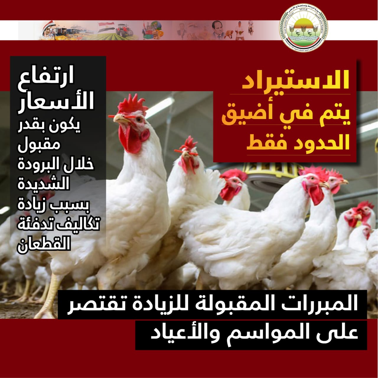 WhatsApp Image 2026-01-07 at 9.07.56 PM