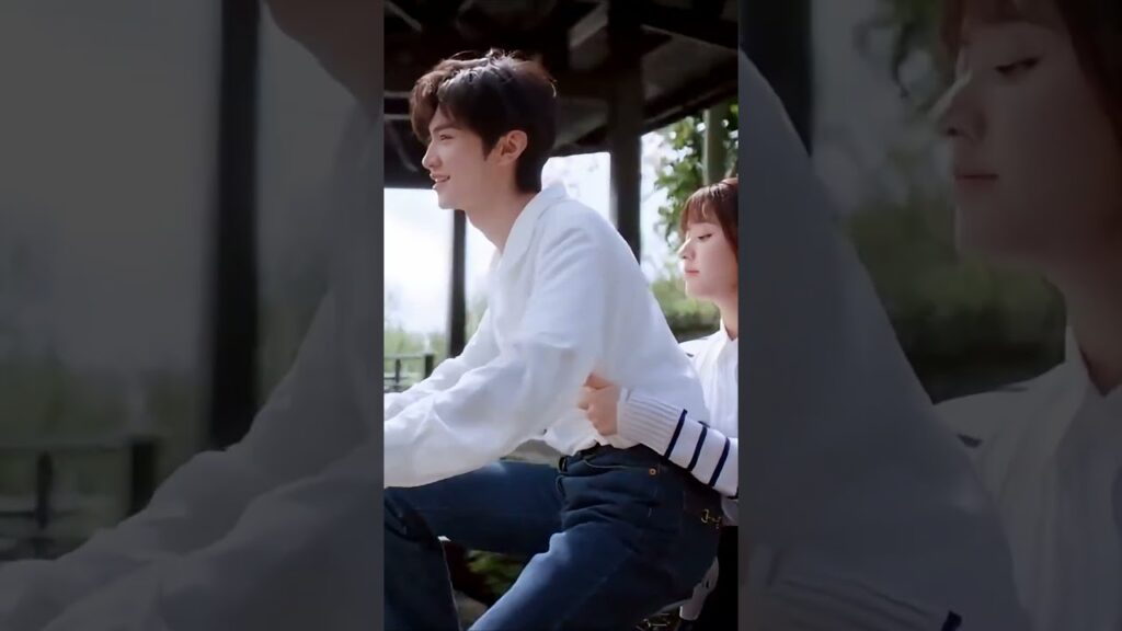 💕💕💕 #HiddenLove #حب_خفي #zhaolusi #chenzheyuan #cdrama #youku #victorma #rosyzhao #shorts #romance