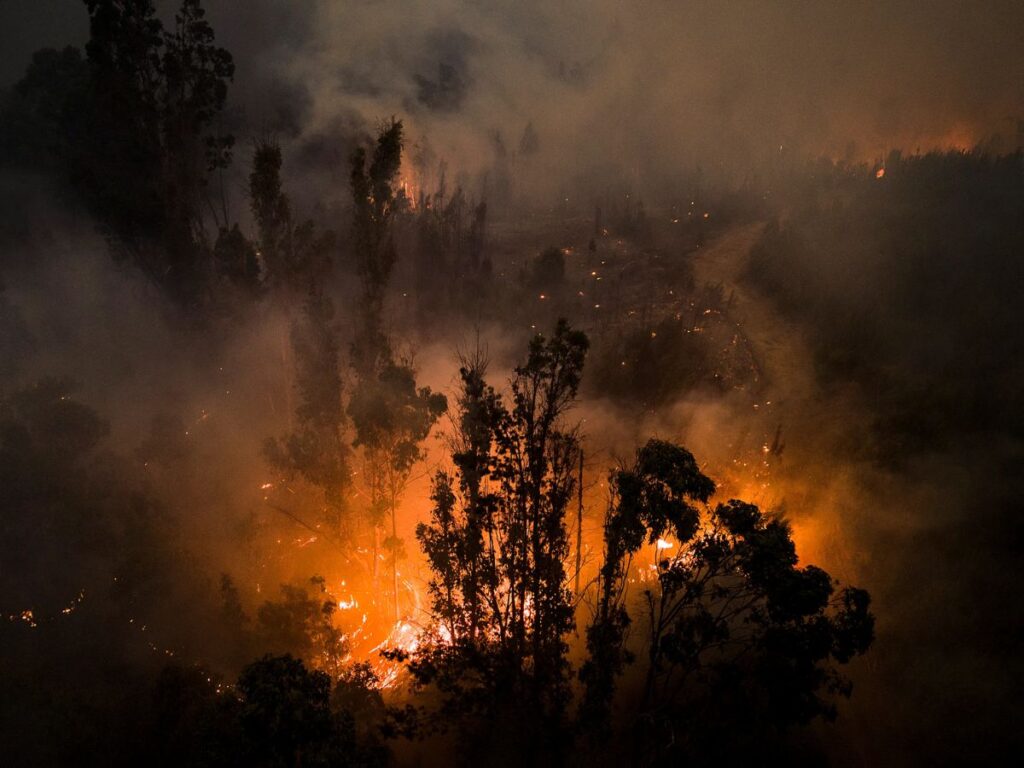 حرائق غابات شديدة في وسط تشيلي تسفر عن مقتل 20 شخصا