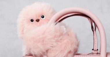 روبوت ميرومى ذكى ويقرأ مشاعر البشر ويتفاعل معها.. هينافس لابوبو روبوت ميرومى ذكى ويقرأ مشاعر البشر ويتفاعل معها.. هينافس لابوبو