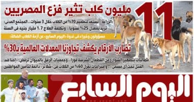 اليوم السابع: 11 مليون كلب تثير فزع المصريين اليوم السابع: 11 مليون كلب تثير فزع المصريين