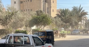 الطقس اليوم.. تقلبات جوية ورياح وأتربة وفرص أمطار والصغرى بالقاهرة 12 درجة