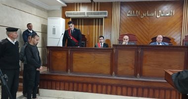 تحويل المتهم للمفتى.. 10 مشاهد بجريمة التعدى على طفلة بلبيس وفقء عينيها