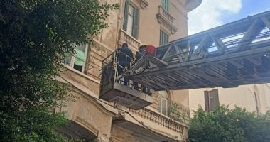 القصة الكاملة لإنقاذ «بومة» عالقة فى عقار بالإسكندرية بـ«أوناش هيدروليكية»