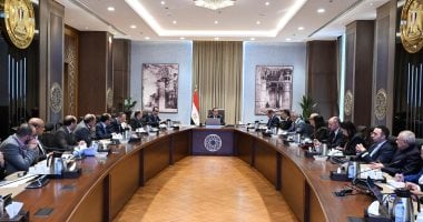 المالية توفر 2,5 مليار جنيه لهيئة الشراء الموحد لسداد مستحقات شركات الأدوية