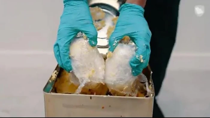 صحيفة المرصد – عُثر عليها مخبأة داخل مواد غذائية.. بالفيديو.. إحباط تهريب أكثر من 269 ألف حبة من الإمفيتامين المخدر في منفذ الحديثة صحيفة المرصد - عُثر عليها مخبأة داخل مواد غذائية.. بالفيديو.. إحباط تهريب أكثر من 269 ألف حبة من الإمفيتامين المخدر في منفذ الحديثة