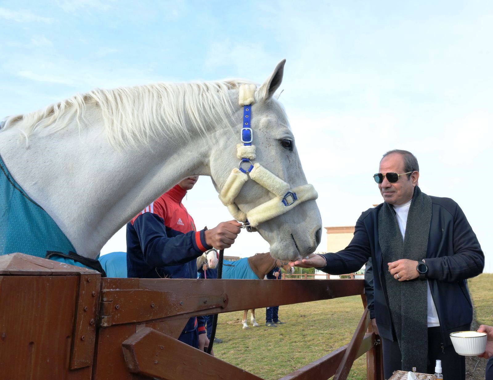 الرئيس السيسى يتابع أنشطة الأكاديمية العسكرية