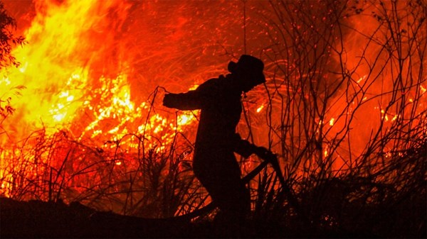 إندونيسيا: حرائق غابات في ثلاث مقاطعات