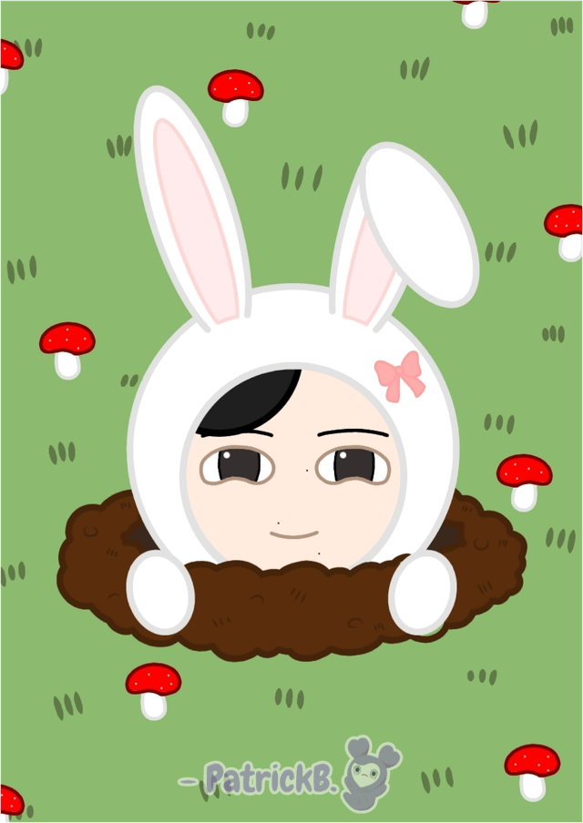 ميسامو الأرانب فانارت