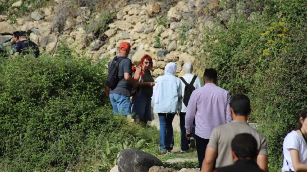 "رؤى خضراء".. مشروع لتمكين 500 ألف شاب عربي في مواجهة التغير المناخي | بيئة ومناخ