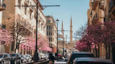 أرقامٌ تفوق التوقّعات… ماذا لو تحقّق هذا الحلم؟ أرقامٌ تفوق التوقّعات... ماذا لو تحقّق هذا الحلم؟