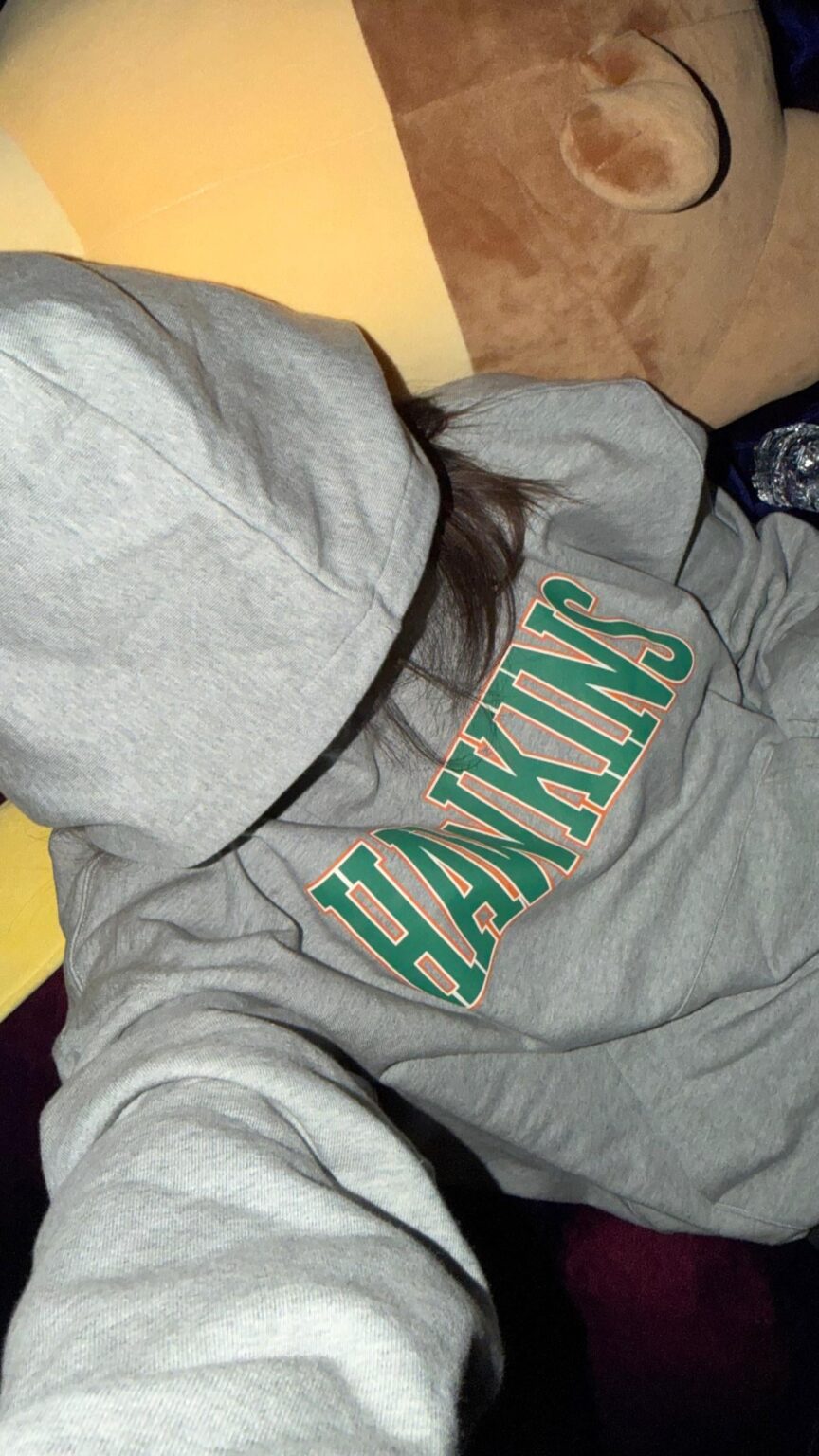 260101 تحديث قصة ليزا على IG