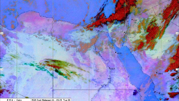ذروة الشتاء .. تحذير عاجل من الأرصاد
