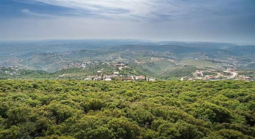 "مجلس مدني اسرائيلي - لبناني مشترك وتحكّم بحركة الجيش".. اسرائيل تشترط! (المدن)