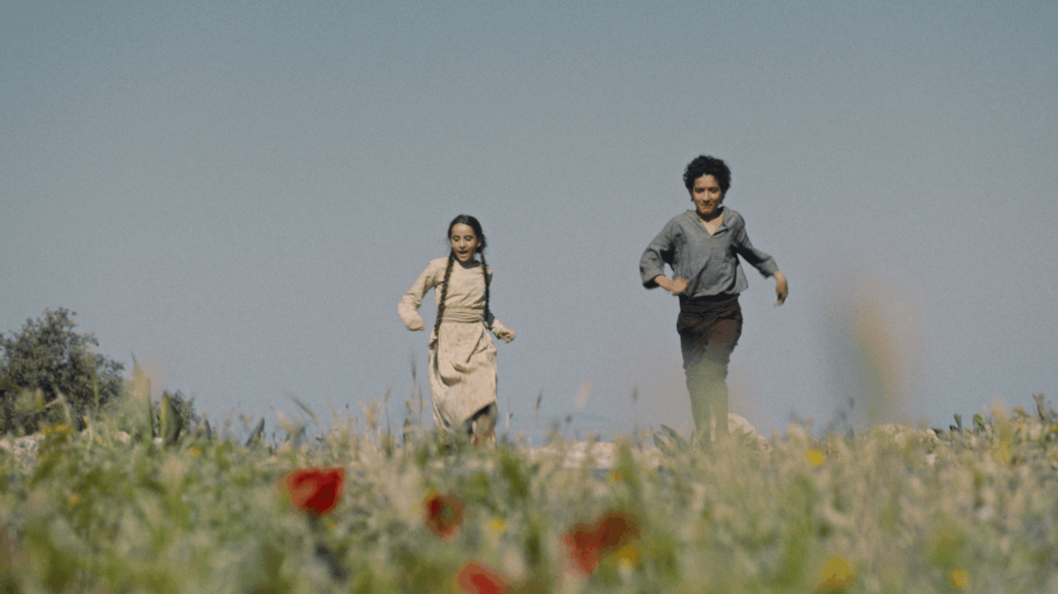 الشارقة للفنون تستضيف العرض الأول في الإمارات لـ فلسطين 36