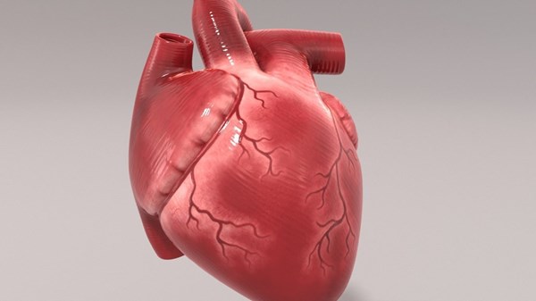 أول جراحة لتحويل مسار الشريان التاجي دون فتح الصدر