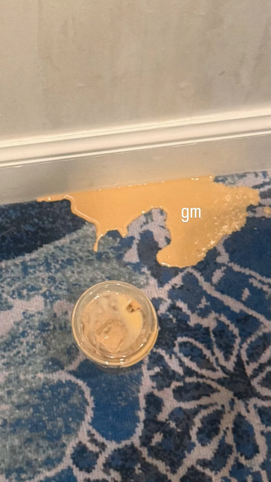 260121 - تحديث قصة الانستغرام الساطعة