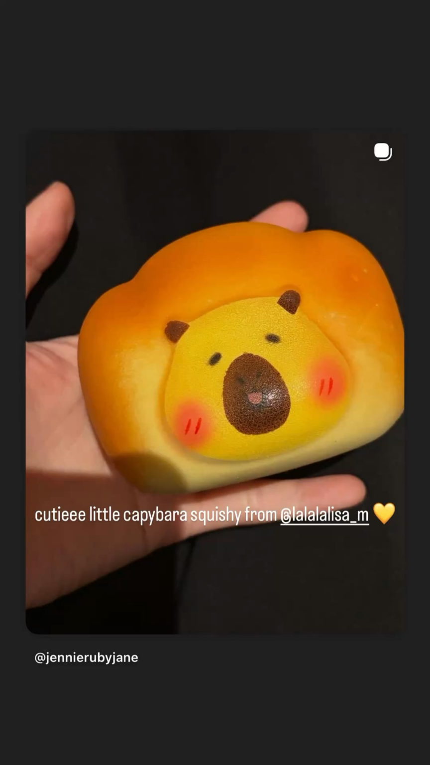 260125 تحديث قصة جيني IG